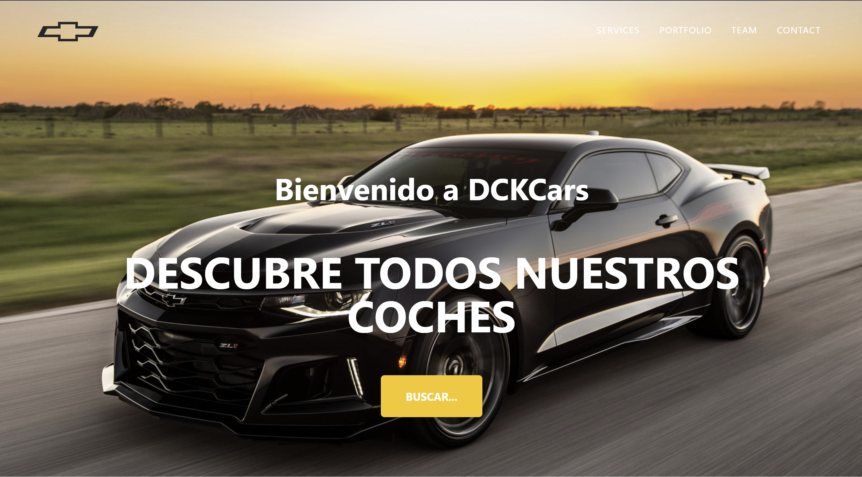 Proyecto Coches